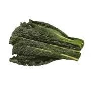 Organic Black (Tuscan) Kale – Fresh, healthy organic delivery | Doorstep Organics