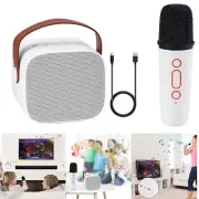 Portable Kids Karaoke Machine With Wireless Microphone Mini Bluetooth Speaker