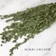 進口乾燥小尖葉尤加利葉 -不凋乾燥花圈 乾燥花束 不凋花 拍照道具 室內擺飾 -38元/束 (8.4折)