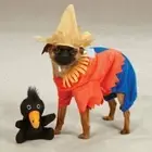 Zack & Zoey Scarecrow, Dog Halloween Costume, XS Pet