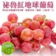 【WANG 蔬果】秘魯紅地球葡萄(12盒_500g/盒)