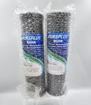 PurePlus 2Pc - CTO10 10" x 2.5" Sintering Activated Carbon Block Water Filter