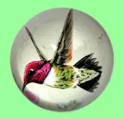 Hummingbird Glass Dome Paperweight