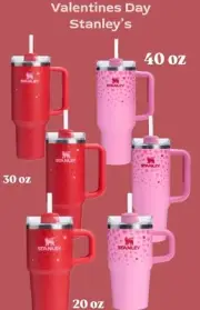 Stanley Cup Valentines Day 2025 Sweet & Ruby Hearts Tumbler set Limited Edition