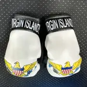 V.I Virgin Islands Flag Mini Gloves Boxing Car Mirror Rearview Hanging Auto Deco