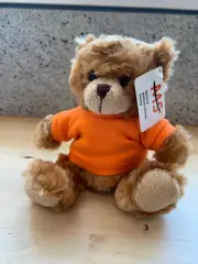 Plushland MS Bear - Orange Shirt - 6", Stuffed Animal - Multiple Sclerosis