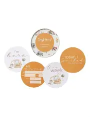 [Snuggle Hunny] Diggers And Tractors Reversible Milestone Cards in Multi