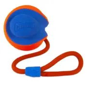 Orange Rope Fetch Dog Toy Chase 3 Way Tug Kick Throw Ball Outdoor Pup Pet Play