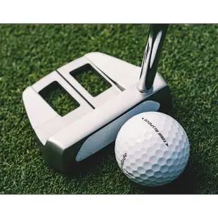 【TaylorMade】TP Hydro Blast putter 推桿系列(TP Collection Putter)