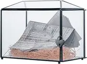 NCYP 26cm Black Geometric Glass Card Box with Slot and Heart Lock, Handmade Brass Clear Terrarium Planter for Wedding Receiption, Large Simple Party Centerpiece (Glass Box and Lock Only)