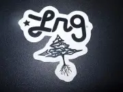 LRG Lifted Research Group DieCut Tree STICKER skate skateboard helmet decal Z