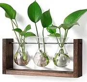 YIBOT Wall Hanging Planter Propagation Station,Plants Lover Gifts for Women, Plant Terrarium, Hydroponics Plants Home Office Living Room Wall Decor-3 Bulb Glass Vases