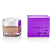 CHANTECAILLE - Future Skin Oil Free Gel Foundation