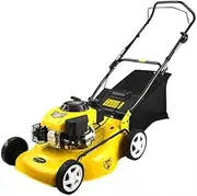 Four Stroke Lawn Mower Gasoline Self Propelled Grass Cutter Hand Push Grass Trimmer Garden Tools Household Pruning Weeding Shear (Color : Hand Push)