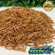 Tropical Fish, Turtles & Reptiles Freeze Dried Mealworm Australian Sourced BULK!