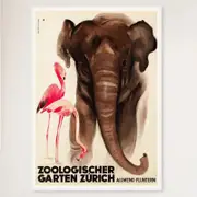 Galrie Vintage Switzerland Zoological Garden Zurich Poster Timeless Wall Art Home Decor, White Frame, A3 30 x 42cm (12 x 16inch)