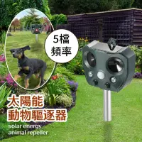 在飛比找momo購物網優惠-【驅之別院】太陽能動物驅逐器(驅動物神器 驅鼠器 驅狗器 驅