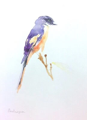 Minivet, Birds, Watercolor artwork, Handmade, Original painting on paper