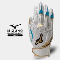 在飛比找蝦皮購物優惠-美津濃 Mizuno Pro 打擊手套 1EJEA09201