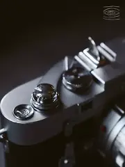 925 Silver Shark Camera Shutter Release Button Hot Shoe Cover Cap F Fujilm Leica