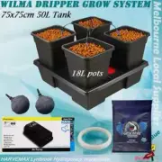 Hydroponics Wilma 4 Pots Dripper System 50L Water Tank Great White Roots Powder