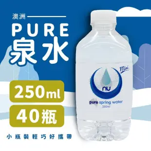 【美式賣場】Nu-Pure 泉水 2箱組(250ml*40瓶/箱)