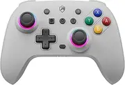 ECHTPower Switch Controller Retro Design, Switch RGB Pro Controller with Hall Joystick, Turbo, Programmable Button, Vibration, 6 Ashes, 2024 Wireless Controller for Switch/Lite/OLED/PC/Android/iOS