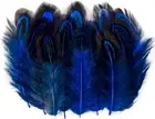 Sapphire Blue Pheasant Feathers - 50 Pcs 2-3 Inch Craft & Decor Accessories