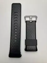 CASIO Original Replacement Watchband WSD-F20 10545781