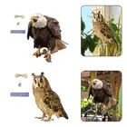 Functional and Decorative Bird Control Owl Statue Elegant Garden Owl Scarecrow