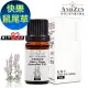 【 ANDZEN 】單方純精油5ml-快樂鼠尾草 天然 草本