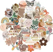 CAKOLINK Vintage Aesthetic Stickers 50 Pcs, Vinyl Waterproof Stickers for Water Bottles Laptop Phone Computer Guitar (1)