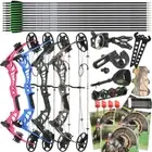 Compound Bow Arrows Set 15-45lbs Adjust Archery Teen Youth Target Hunting Shoot