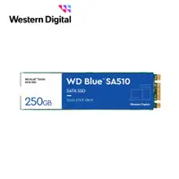 在飛比找蝦皮商城優惠-WD 藍標 SA510 250GB M.2 2280 SAT