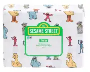 SESAME STREET Characters COTTON Twin Size Sheet Set (ELMO BERT ERNIE BIG BIRD)