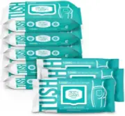 Moist Flushable Wipes Infused Aloe & Vitamin E 42 Wipes Pack of 8 White