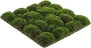 Moss Wall Panel Tile Board Lightweight Easy Installation Green Faux Moss for Decor Versatile Wall Background Decoration High Simulation Crafting