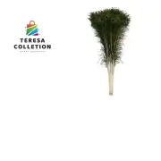 Natural Peacock Feathers 30-35 inches Long 20 pcs per Bundle