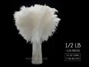 125 Pieces - White Ostrich Tail Bulk Wholesale Feathers Wedding Centerpiece Bulk
