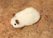CAT TOY mouse alpaca Peruvian handmade rattle mice Pet MOUSE HUNTER