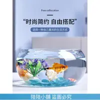 在飛比找蝦皮購物優惠-（陸陸的小鋪）魚缸 玻璃魚缸 小魚缸 桌面魚缸 創意水族箱生