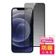 iPhone12 ProMax 滿版高清防窺9H玻璃鋼化膜手機保護貼(12ProMax鋼化膜 12ProMax保護貼)