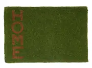 Habitate Home Coir Door Mat in Green
