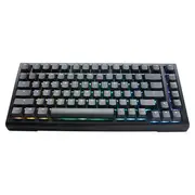 Ducky ProjectD Tinker 75 RGB Hot-Swap Mech Keyboard Cherry Brown
