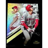 在飛比找蝦皮購物優惠-2019 - TOPPS 天使隊 大谷翔平   * Gold