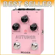 Precise Pitch Correction and Reverb Delay Vocal Effects Processor for Guitarists