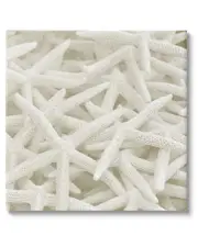 Nautical White Starfish Photography Canvas Wall Art by Lil' Rue