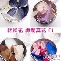 在飛比找Yahoo!奇摩拍賣優惠-艾薇 Ivy’s Nail美甲批發╭＊青昧美甲飾品 FＪ系列