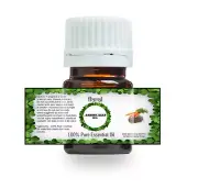 100% PURE NATURAL CARROT SEED ESSENTIAL OIL 5 ML TO 100 ML FROM INDIA
