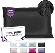 Mulberry Park Silks Mulberry Park 100% Silk Pillowcase - 19 Momme, Grade 6A Mulberry Silk - Hidden Zipper Closure - Black/Queen (20'' x 30'')